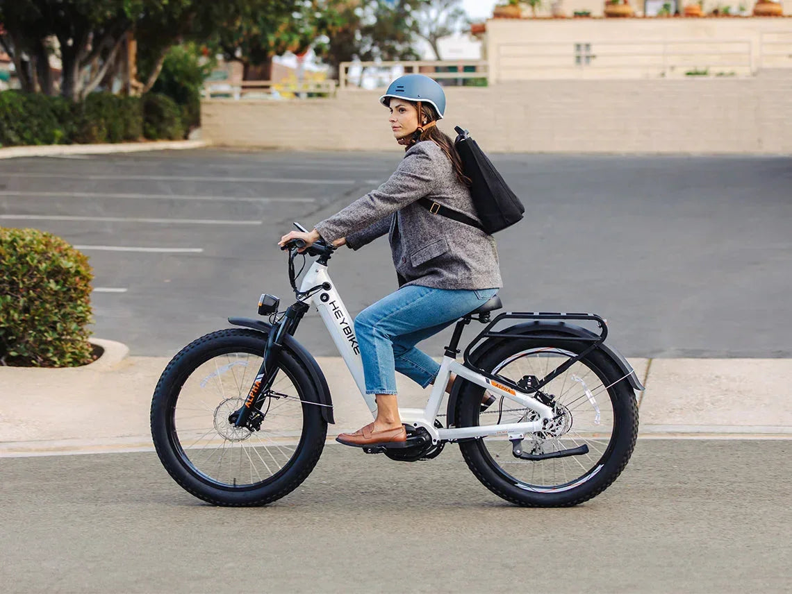 Heybike Alpha, photo 11 of 14