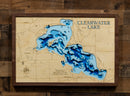 Clearwater Lake in Wright County, Minnesota by Horn Dog Maps