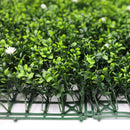 Sample Panel – White Flowering Boxwood Green Wall (Small Sample) by Designer Plants USA