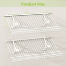 Closet Shelves Wall Mounted Set of 2 Metal Wire Shoe Racks