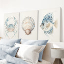 Watercolor Light Blue Nautical 3 Piece Art. Crab, Shell, Fish by Wall Art Set