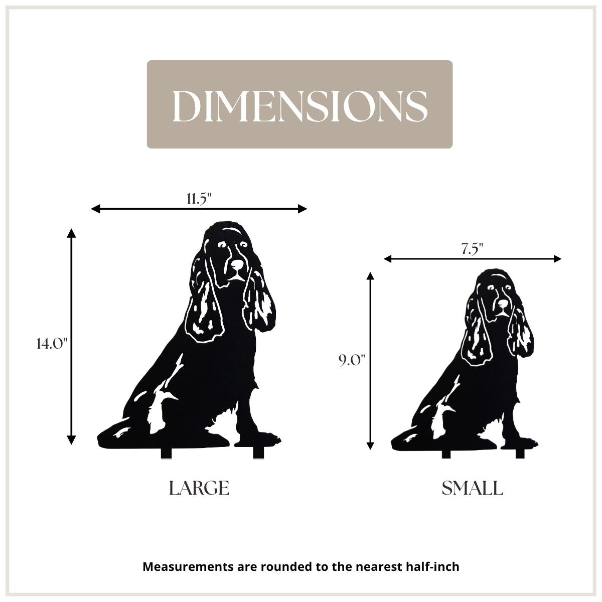 Cocker Spaniel, photo 4 of 13