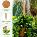 Coco Moss Poles Vine Plant Support by EnvelorHome