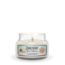 Beach Collection - Coconut Island™, Small Jar Candle (Collective)