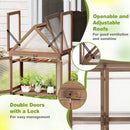 Cold Frame Mini Wooden Greenhouse for Vegetable and Flower-Brown by LJGDeals