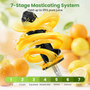 Cold Press Juicer Machine with 95% Juice Yield - Silver by LJGDeals