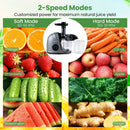 Cold Press Juicer Machine with 95% Juice Yield - Silver by LJGDeals