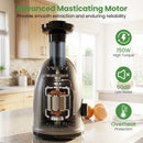 Cold Press Juicer Machine with 95% Juice Yield - Silver by DirectDeals