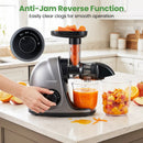 Cold Press Juicer Machine with 95% Juice Yield - Silver by LJGDeals