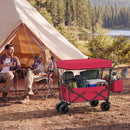 Collapsible Wagon with Removable Canopy and Detachable Storage Bag by LJGDeals