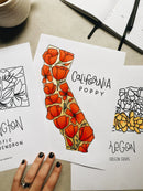 State Flowers Coloring Page Printables