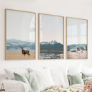 Set of 3 US Nature Photography. Colorado Travel Wall Art by Wall Art Set