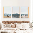 Set of 3 US Nature Photography. Colorado Travel Wall Art by Wall Art Set