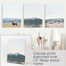 Set of 3 US Nature Photography. Colorado Travel Wall Art by Wall Art Set