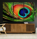 Colorful Peacock Feather Wall Art Print - Vibrant Green, by MyGreatCanvas | Canvas Wall Art Prints | Photo Prints & Wall Decor