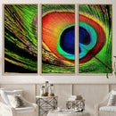 Colorful Peacock Feather Wall Art Print - Vibrant Green, by MyGreatCanvas | Canvas Wall Art Prints | Photo Prints & Wall Decor
