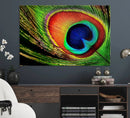 Colorful Peacock Feather Wall Art Print - Vibrant Green, by MyGreatCanvas | Canvas Wall Art Prints | Photo Prints & Wall Decor