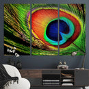 Colorful Peacock Feather Wall Art Print - Vibrant Green, by MyGreatCanvas | Canvas Wall Art Prints | Photo Prints & Wall Decor