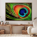 Colorful Peacock Feather Wall Art Print - Vibrant Green, by MyGreatCanvas | Canvas Wall Art Prints | Photo Prints & Wall Decor