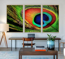 Colorful Peacock Feather Wall Art Print - Vibrant Green, by MyGreatCanvas | Canvas Wall Art Prints | Photo Prints & Wall Decor