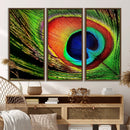 Colorful Peacock Feather Wall Art Print - Vibrant Green, by MyGreatCanvas | Canvas Wall Art Prints | Photo Prints & Wall Decor