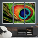 Colorful Peacock Feather Wall Art Print - Vibrant Green, by MyGreatCanvas | Canvas Wall Art Prints | Photo Prints & Wall Decor