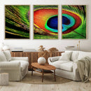 Colorful Peacock Feather Wall Art Print - Vibrant Green, by MyGreatCanvas | Canvas Wall Art Prints | Photo Prints & Wall Decor