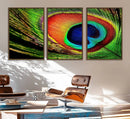 Colorful Peacock Feather Wall Art Print - Vibrant Green, by MyGreatCanvas | Canvas Wall Art Prints | Photo Prints & Wall Decor