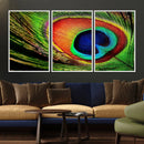 Colorful Peacock Feather Wall Art Print - Vibrant Green, by MyGreatCanvas | Canvas Wall Art Prints | Photo Prints & Wall Decor