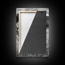 Lizard art, wildlife photography, moody art, desert decor, black and white photography, wabi sabi wall art, framed canvas print, unique gift