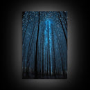 Birch Tree Forest At Night, Starry Night Sky, Framed Canvas Print, Boho Minimalist Farmhouse Decor, Primitive Art