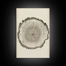 Framed Canvas Print Wall Art Pastel Grunge Wood Tree Rings Abstract Illustrations Minimalist Modern Art Boho Decor Framed Canvas Print
