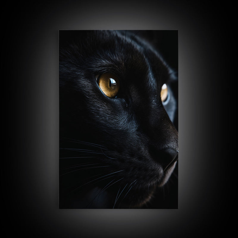 Beautiful Black Cat Portrait, Cat Photography, Framed Canvas Print, Framed Art, Halloween Witch Cat Art