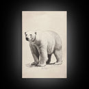 Polar Bear Canvas Print - Framed Canvas - Minimalist Christmas Art - Boho Christmas Art - Rustic Christmas Art