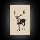 Reindeer Canvas Print - Framed Canvas - Minimalist Christmas Art - Boho Christmas Art - Rustic Christmas Art