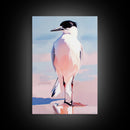 Seabird, Coastal Wildlife Art, Framed Canvas Print, Beach House Wall Decor, Nature Painting, Modern Home Aesthetic, Ocean Inspired