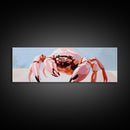 Pink Crab, Coastal Art, Beach House Decor, Nautical Wall Art, Ocean Theme, Framed Canvas Print, Living Room Wall Art, Modern Beach Art