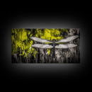 Dragonfly Art, Nature Insect, Modern Botanical, Black and White Sketch, Yellow Green Abstract, Framed Canvas Print, Bedroom Wall Decor