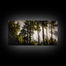Sunlit Forest, Autumn Trees, Fall Home Decor, Framed Canvas Print, Nature Lover Gift, Cozy Wall Art, Woodland Art
