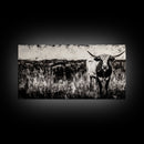 Texas Longhorn, Rustic Farmhouse, Black and White Western Art, Framed Canvas Print, Country Home Decor, Rustic Living Room Wall Art