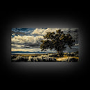 Solitary Tree, Dramatic Sky, Western Landscape, Rustic Nature, Southwest Art, Framed Canvas Print, Living Room Decor, Bold Earthy Painting