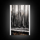Forest Landscape, Black and White Tree Art, Moody Woodland Scene, Rustic Nature Wall Decor, Cabin Home Artwork, Framed Canvas Print