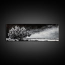 Monochrome Tree Art, Dramatic Nature Painting, Black and White Wall Decor, Minimalist Forest Print, Modern Office Art, Framed Canvas Print