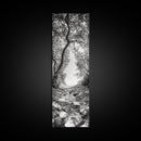 Forest Path, Rock Creek, Canopy Light, Calm Nature Scene, Canvas Print, Entryway Wall Art, Tranquil Minimalist Landscape Print