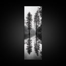Twin Pines, Forest Reflection, Misty Lake, Black and White Nature, Framed Canvas Print, Living Room Wall Art, Nature Photography, Zen Decor