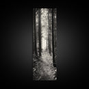 Forest Trail, Woodland Path, Light Through Trees, Nature Escape, Canvas Print, Cabin Wall Art, Cozy Autumn Home Decor, Bedroom Artwork