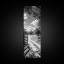 Country Road, Wooden Fence, Open Fields, Tree Shadows, Canvas Print, Rustic Farm Wall Art, Minimalist Nature Photography, Entryway Home Decor