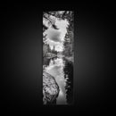 Forest Reflection, Lake Stillness, Tranquil Pines, Nature Calm, Black and White Canvas Print, Bedroom Wall Art, Cabin Vibes