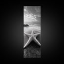 Ocean Star, Sea Life, Coastal Serenity, Marine Beauty Framed Canvas Print, Beach House Wall Art, Coastal Nautical Bathroom Decor