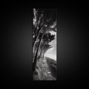 Windy Forest Trail, Dark Coastal Trees, Atmospheric Nature, Framed Canvas Print, Fall Living Room Wall Art, Moody Landscape Aesthetic